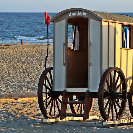 Sternenlicht Daire *